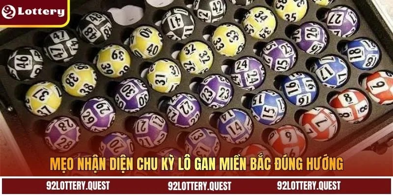 Mẹo nhận diện chu kỳ lô gan miền Bắc đúng hướng